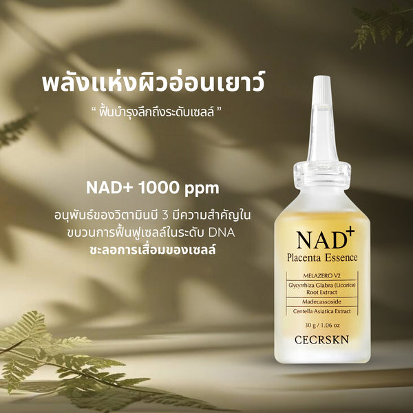 NAD+ Placenta Essence เสริมสร้างผิวใหม่ ช่วยให้ผิวนุ่ม ชุ่มชื้น ผ่อนคลายผิวทันที คืนความอ่อนเยาว์ให้แก่ผิว
